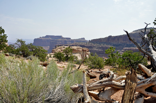 view from The Neck Overlook at Canyonlands National Park